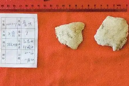 女娲遗骨女娲庙惊现女娲遗骨女娲真的存在吗