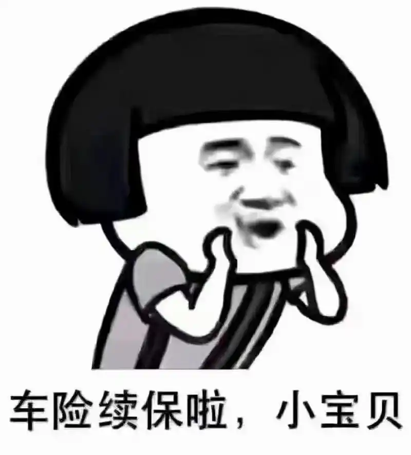 大地车险续保 大地车险续保