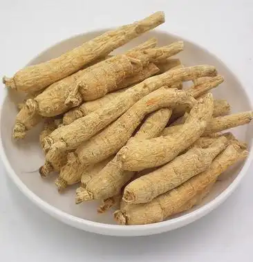 花旗参美国进口半野生花旗参圆丛颗粒花旗参整枝可代