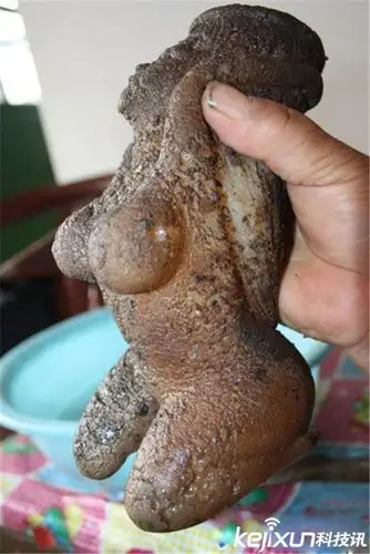 挖出的这个怪物交到了专家的手里,据鉴定,这极有可能就是传说中的太岁