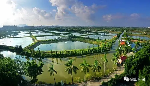 水乡鱼塘 (崔永开/摄)严监管>>>>分两级管制区 严控建设活动《规划