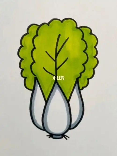 大白菜这样画