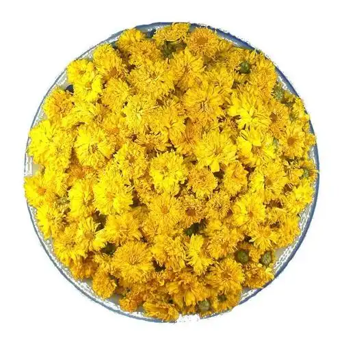 黄菊婺源花茶原味特级小黄天然黄山贡菊皇菊代用