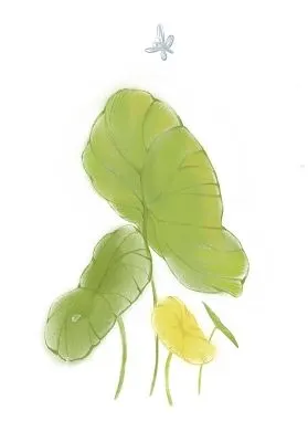 手绘水彩夏天荷花素材