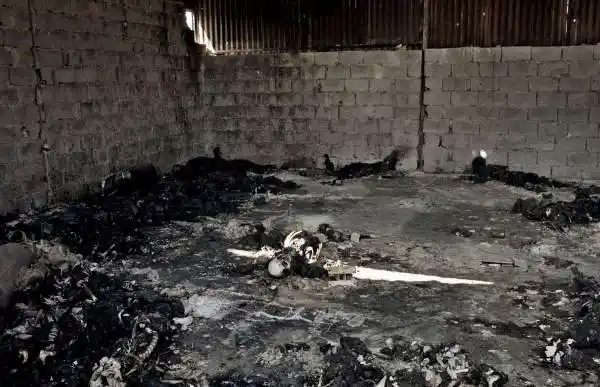 土葬的尸体,高度腐败,身上爬满  "尸蛆"  ,臭味熏天,最后皮