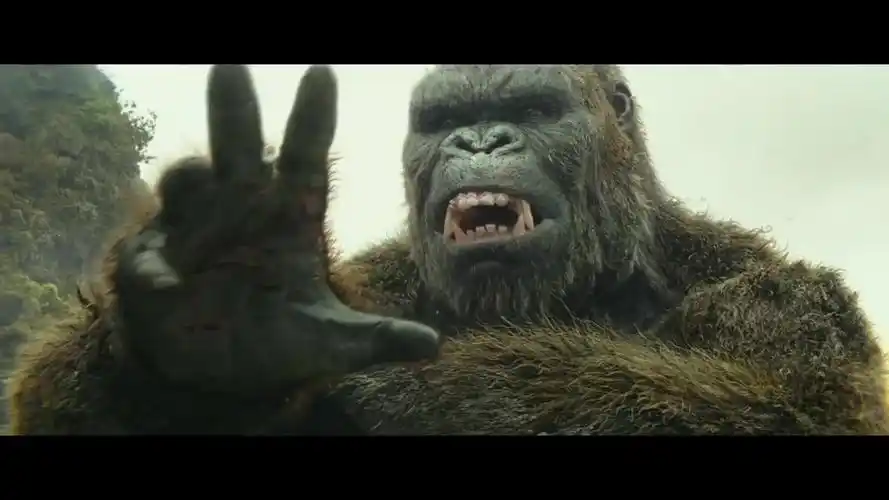 大金刚吃日本料理!