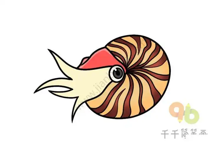 无脊椎海洋动物简笔画