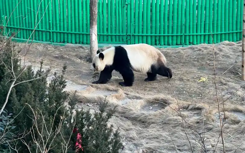 游威海西霞口神雕山野生动物园(1)