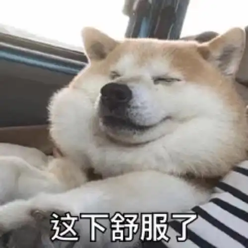 狗头表情包特辑太多了有点杂哈哈哈哈