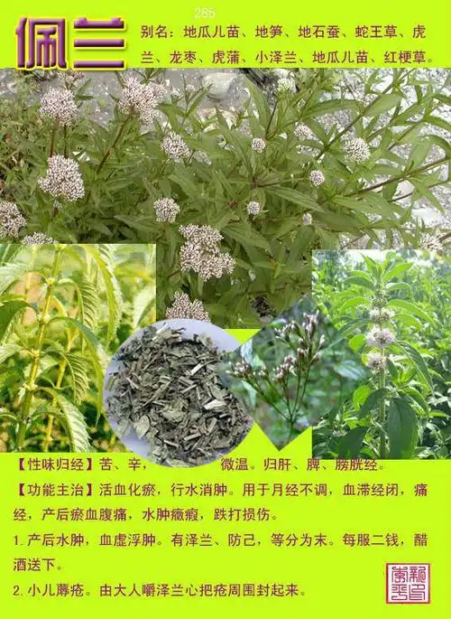 闲情雅趣.的美篇