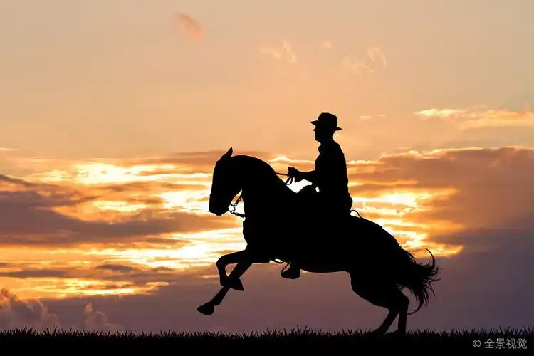男人_骑马_插画_日落_高清图片_全景视觉