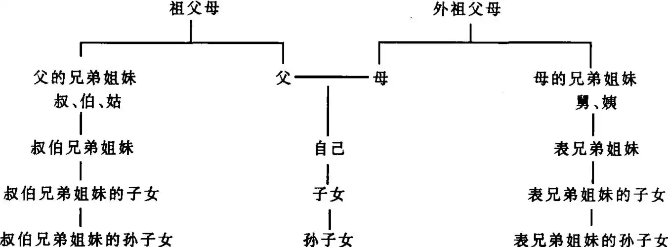 近亲在血缘关系上可分下述几种情况.