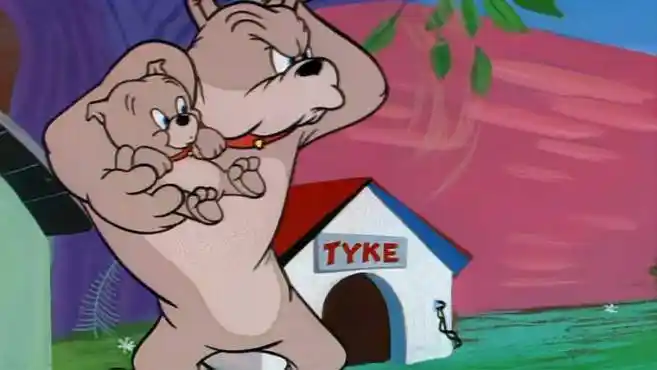 猫和老鼠第105集上:汤姆惊动大黄狗,这下倒霉了!-动漫视频-搜狐视频