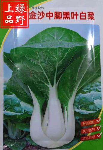绿野上品绿香奶白菜种子 中脚黑叶奶白菜 矮壮束腰耐热耐湿耐抽苔