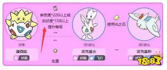 宝可梦阿尔宙斯波克比怎么进化波克比进化方式介绍