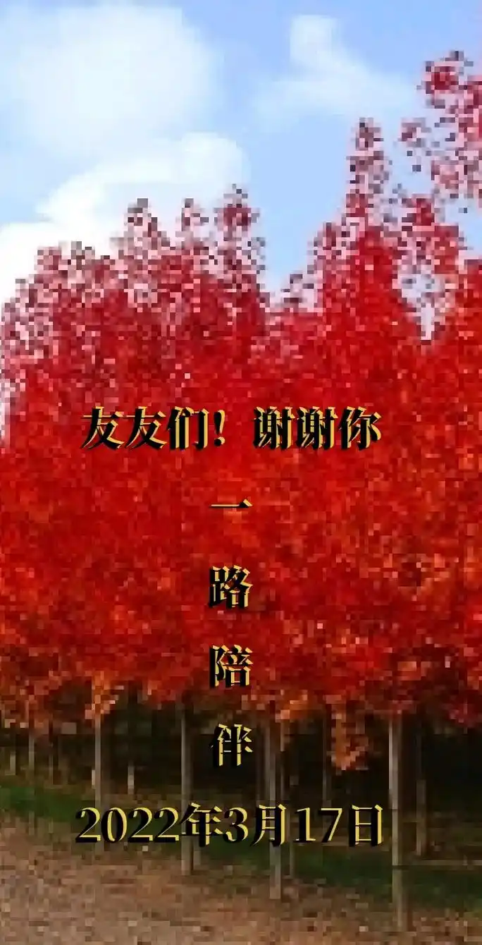 好山好水好风景 #业余爱好 #统一回复谢谢亲们的点赞和评论 - 抖音