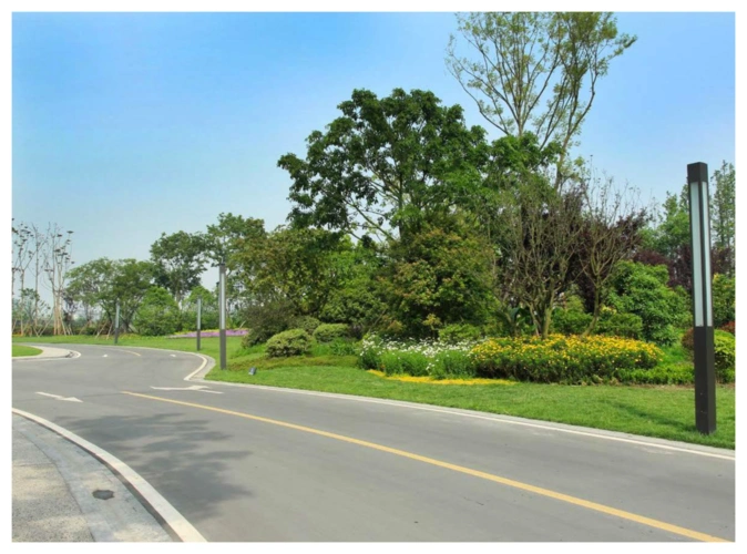 市政道路绿化维护