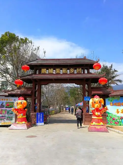 美丽乡村百花节记