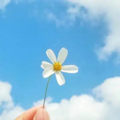 微信风景头像图片唯美 抬头 阳光依旧温暖_微信头像_我要个性网