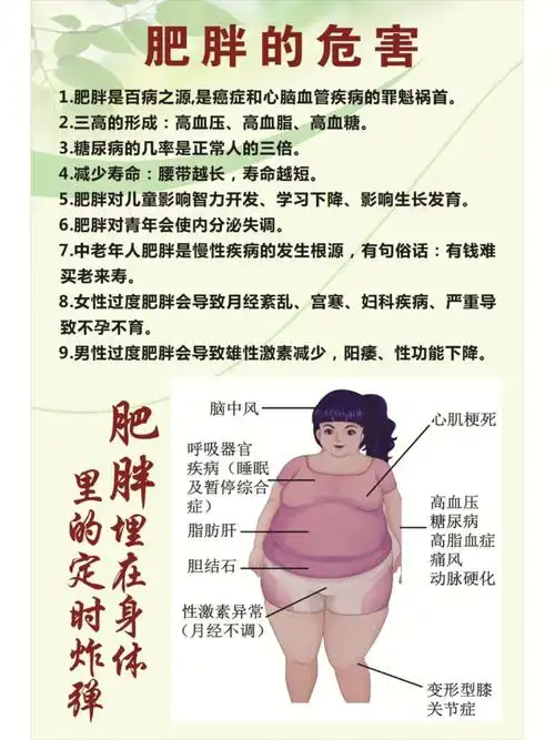肥胖带来的超级危害72要了解