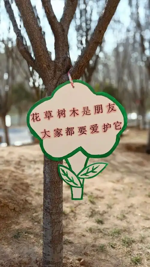 跑跑二班我给小树浇浇水,我和小树同成长