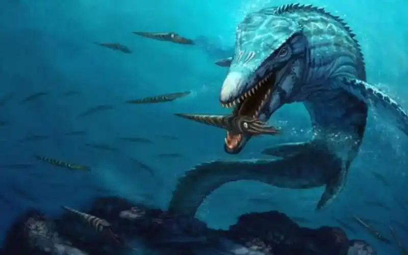 史前海洋中5种恐怖巨兽,每一个都是当时的海洋霸主