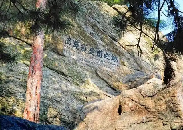 原创孟良崮战役中张灵甫被击毙整编74师其他将领都有什么结局