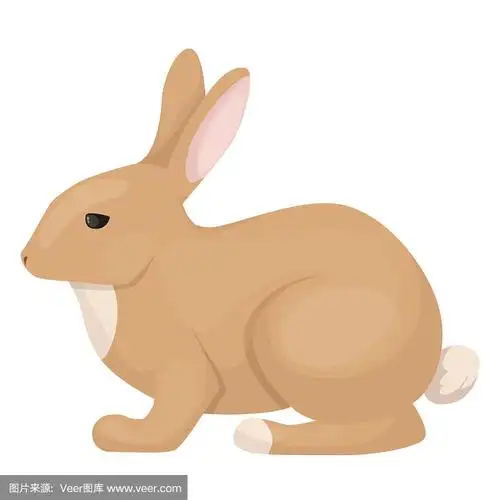 哺乳纲,小的,可爱的,幽默,野兔