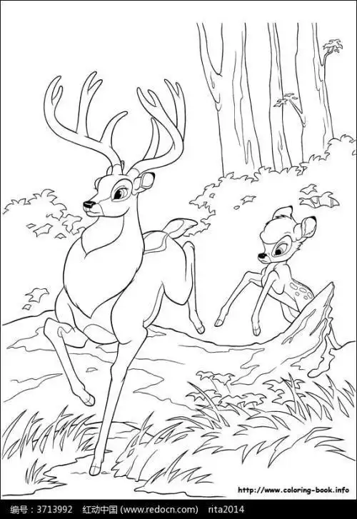 小鹿斑比中兔子妈妈的简笔画