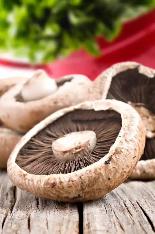 景深非常浅的健康鲜蘑照片-正版商用图片19jceq-摄图新视界