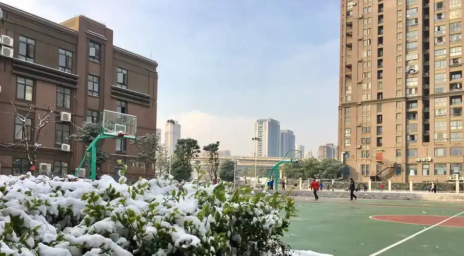 雪后的海顿学校!