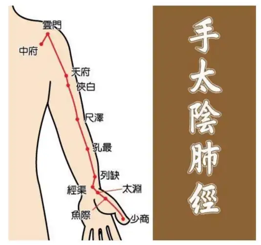 秋天养肺黄金时节,这套疏通肺经的阴瑜伽序列一定要练!