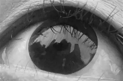 日本女星自拍照"瞳孔泄密"引祸端