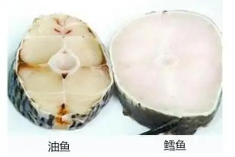 鳕鱼和油鱼怎么区分记得着四个方面绝对不会买错
