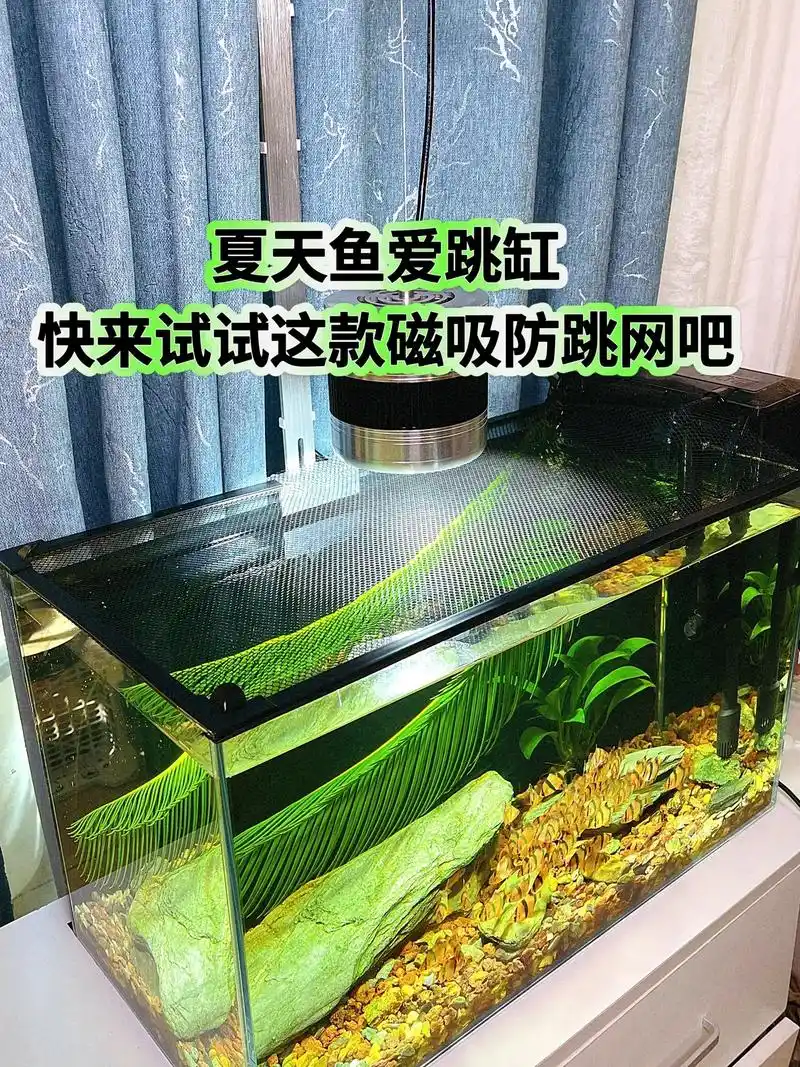 鱼缸防跳网鱼缸罩雷龙异宠防跳网隐形磁吸.