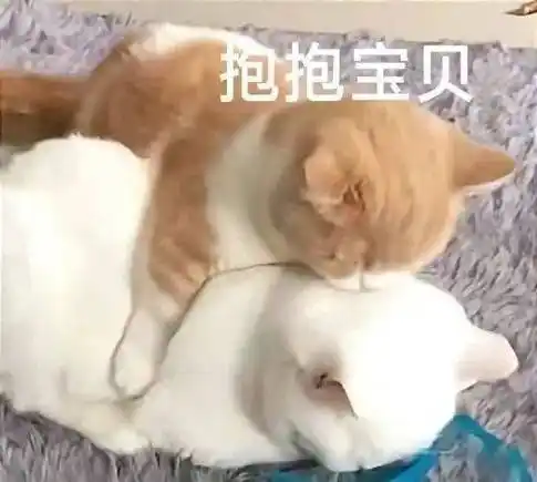 涩涩情侣表情包!洗澡都不给我看