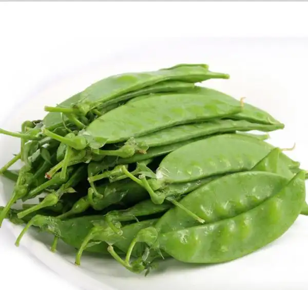荷兰豆 荷兰豆蔬菜 软荚菜豌豆 新鲜绿色无公害高原夏菜
