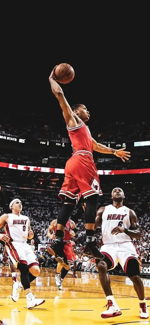 篮球壁纸黑色玫瑰罗斯