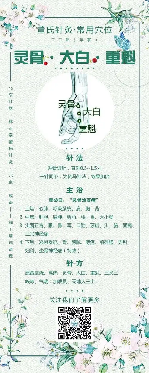 灵骨 大白 重魁