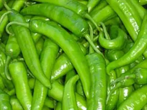 蔬菜食品的安全问题