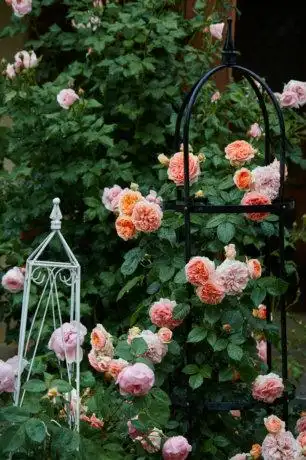 家庭后花园设计