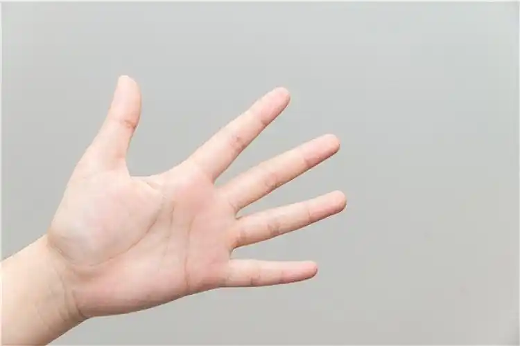 手掌图片_手掌高清图片_全景视觉