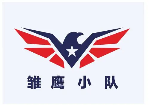 雏鹰小队自制队旗