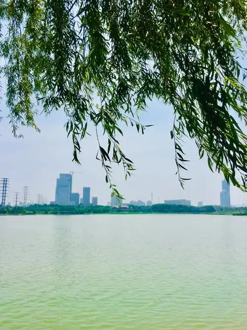 武汉市国家城市湿地公园金银湖摄影图片集锦