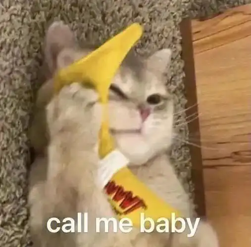 一些猫猫头表情包分享#表情包分享  #猫猫表情包  #奇奇怪怪表情包