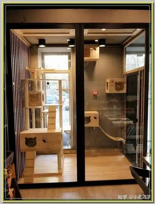 养宠物的家庭装修时该注意什么