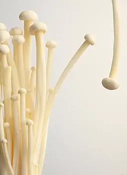 小金针菇图片_小金针菇图片大全_小金针菇图片素材