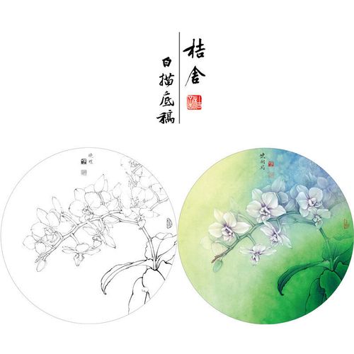 李晓明工笔画白描底稿蝴蝶兰圆形小品花鸟线稿带步骤说明画稿kb01