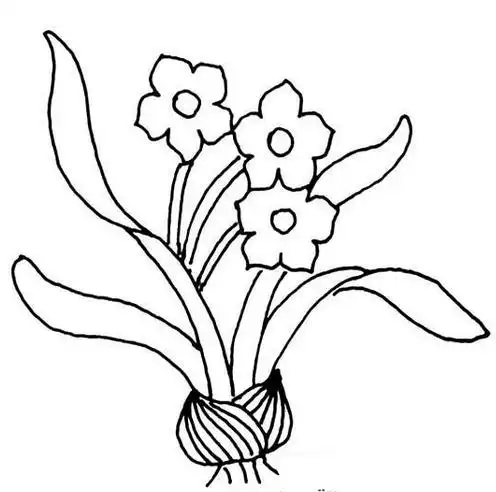 水仙花怎么画简笔画