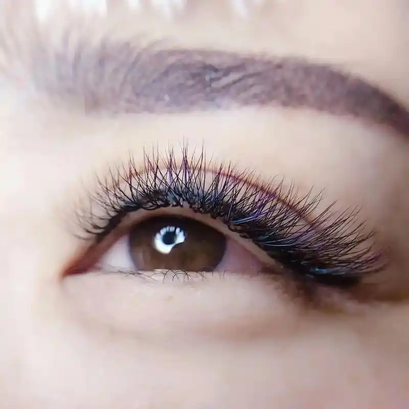 凤尾蓝彩睫三叶草接出来的效果是显非显美轮美奂